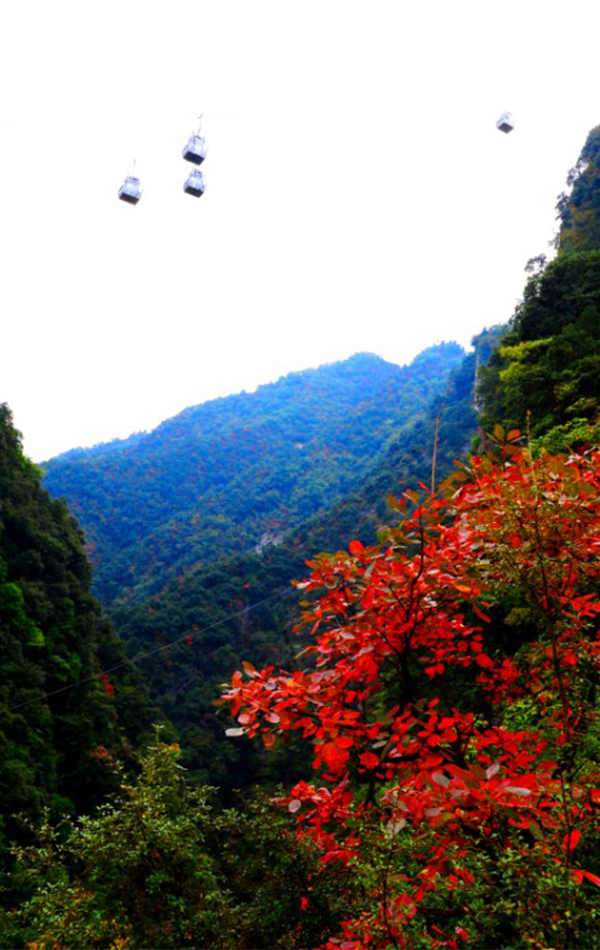 高空索道.jpg