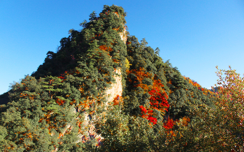 未标题-17.jpg