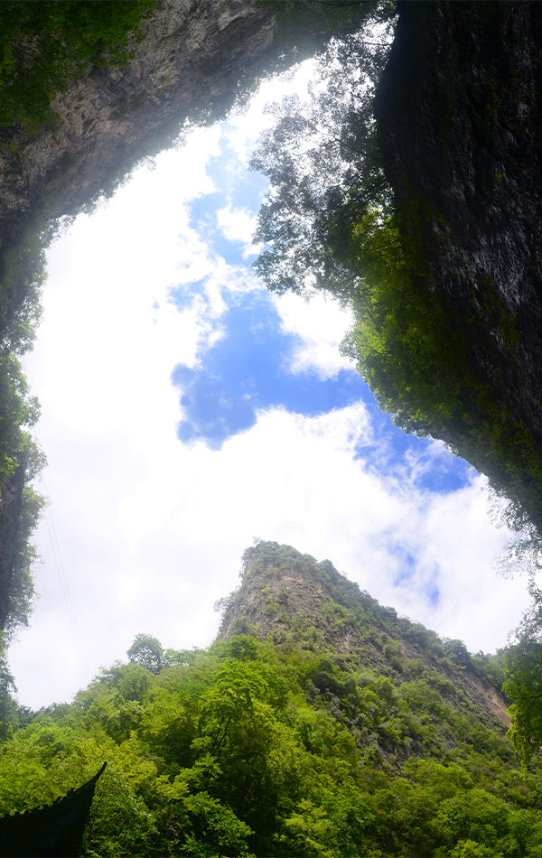 未标题-35.jpg