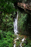_MG_6792.jpg