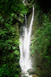_MG_6793.jpg